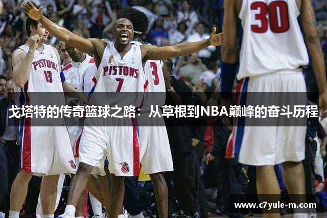 戈塔特的传奇篮球之路：从草根到NBA巅峰的奋斗历程