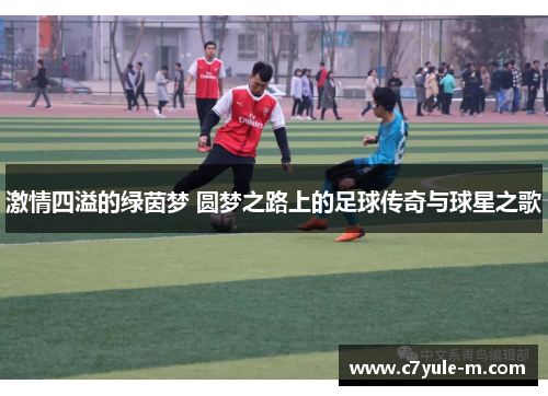 激情四溢的绿茵梦 圆梦之路上的足球传奇与球星之歌