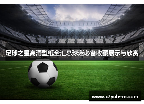 足球之星高清壁纸全汇总球迷必备收藏展示与欣赏
