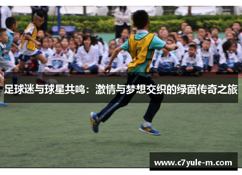 足球迷与球星共鸣：激情与梦想交织的绿茵传奇之旅