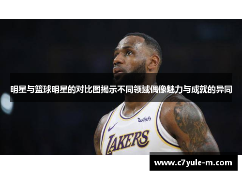 明星与篮球明星的对比图揭示不同领域偶像魅力与成就的异同